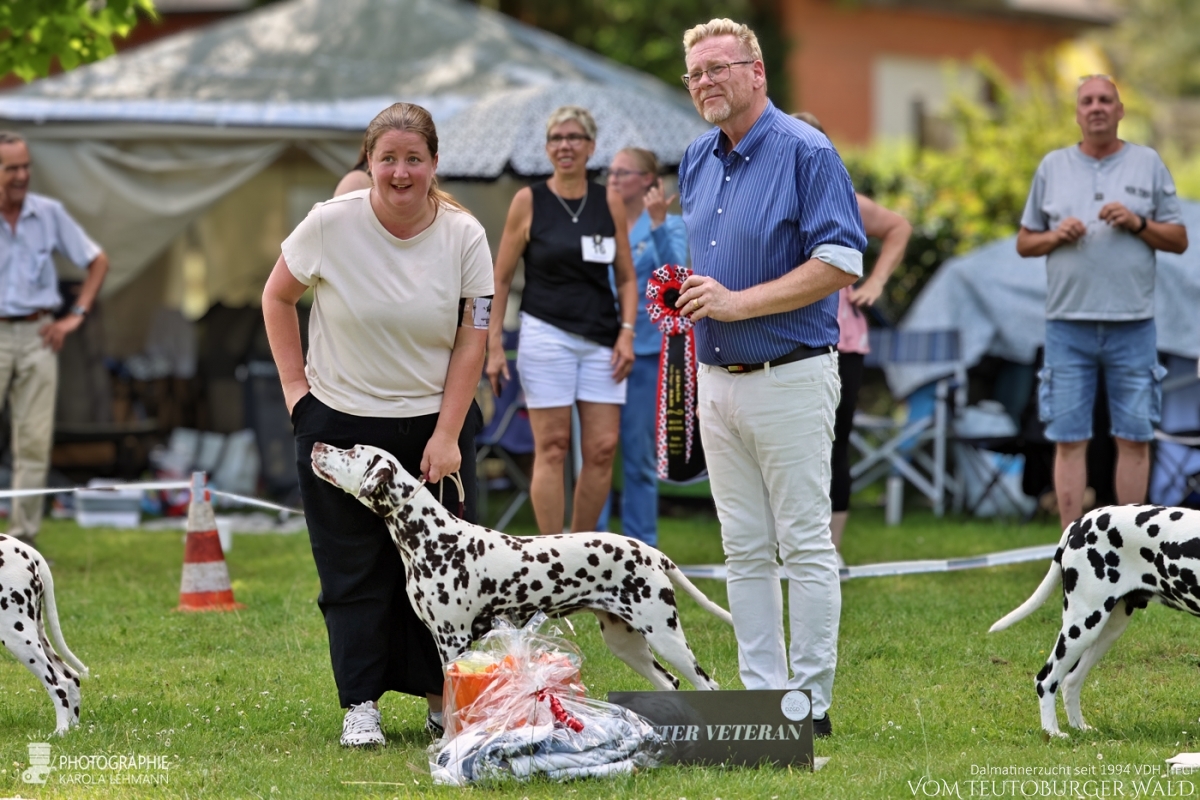 Veteranen Klasse Hündinnen (2 Meldungen) Ch Flame of Fame vom Teutoburger Wald V: Ch. Christi ORMOND Magic Moon M: Ch Treasure Toulouse vom Teutoburger Wald Doghandler: Ann Christin Leitow Vorzüglich Platz 1 DZGD Felde-Veteranensiegerin 2026 BESTER VETERAN Veteranen Klasse Hündinnen (2 Meldungen) Ch Flame of Fame vom Teutoburger Wald V: Ch. Christi ORMOND Magic Moon M: Ch Treasure Toulouse vom Teutoburger Wald Doghandler: Ann Christin Leitow Vorzüglich Platz 1 DZGD Felde-Veteranensiegerin 2026 BESTER VETERAN