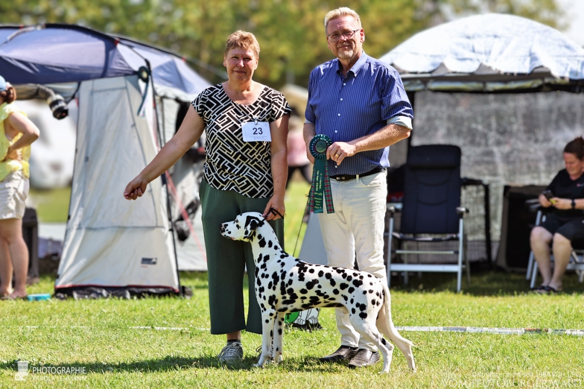 Champion Klasse Rüden (12 Meldungen) Ch Precious Picasso vom Teutoburger Wald V: WW ´20 Puntinato Ballante Tic Tac Terror M: Ch Flame of Fame vom Teutoburger Wald Doghandler: Heike Winter Vorzüglich Platz 4 Champion Klasse Rüden (12 Meldungen) Ch Precious Picasso vom Teutoburger Wald V: WW ´20 Puntinato Ballante Tic Tac Terror M: Ch Flame of Fame vom Teutoburger Wald Doghandler: Heike Winter Vorzüglich Platz 4