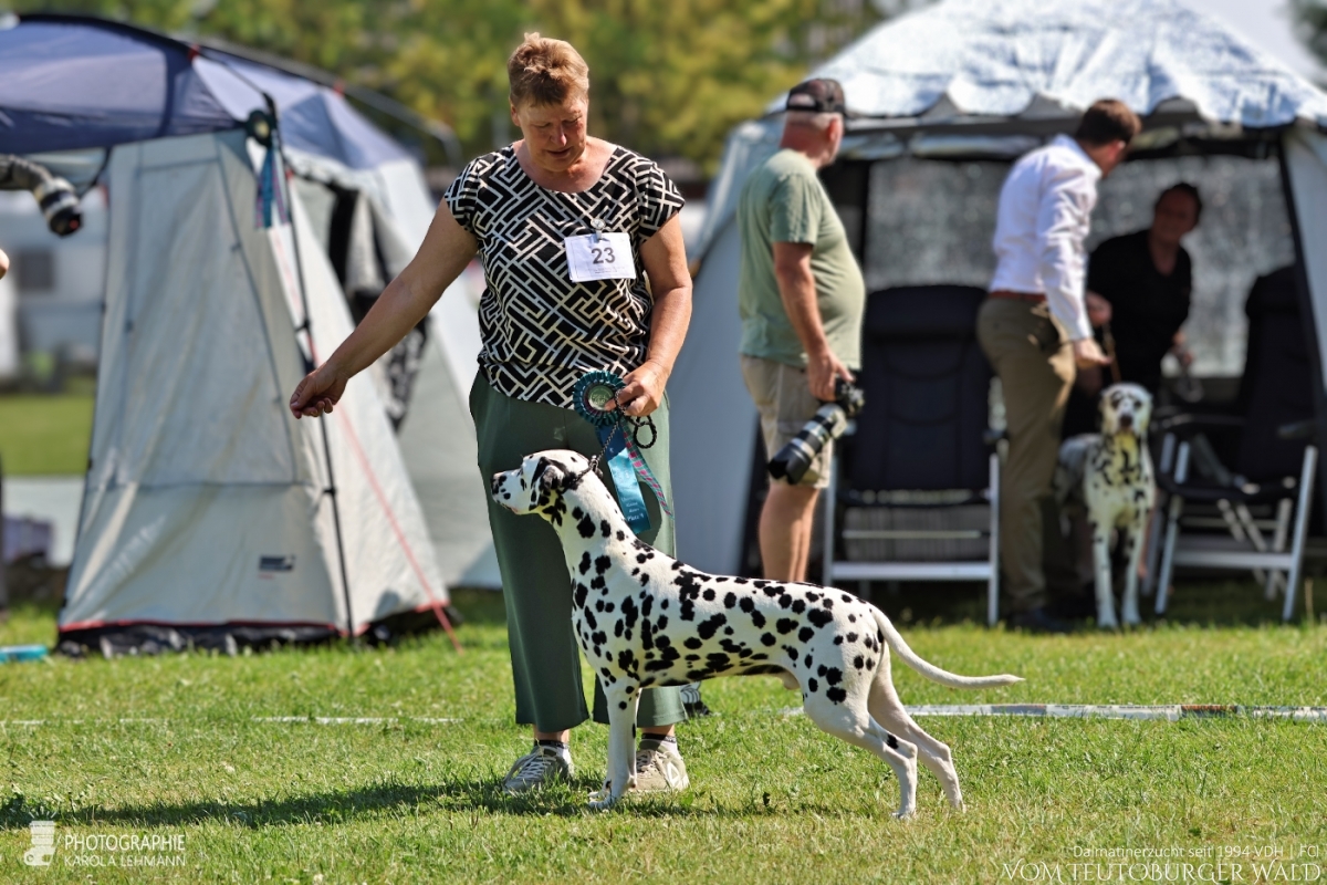 Champion Klasse Rüden (12 Meldungen) Ch Precious Picasso vom Teutoburger Wald V: WW ´20 Puntinato Ballante Tic Tac Terror M: Ch Flame of Fame vom Teutoburger Wald Doghandler: Heike Winter Vorzüglich Platz 4 Champion Klasse Rüden (12 Meldungen) Ch Precious Picasso vom Teutoburger Wald V: WW ´20 Puntinato Ballante Tic Tac Terror M: Ch Flame of Fame vom Teutoburger Wald Doghandler: Heike Winter Vorzüglich Platz 4