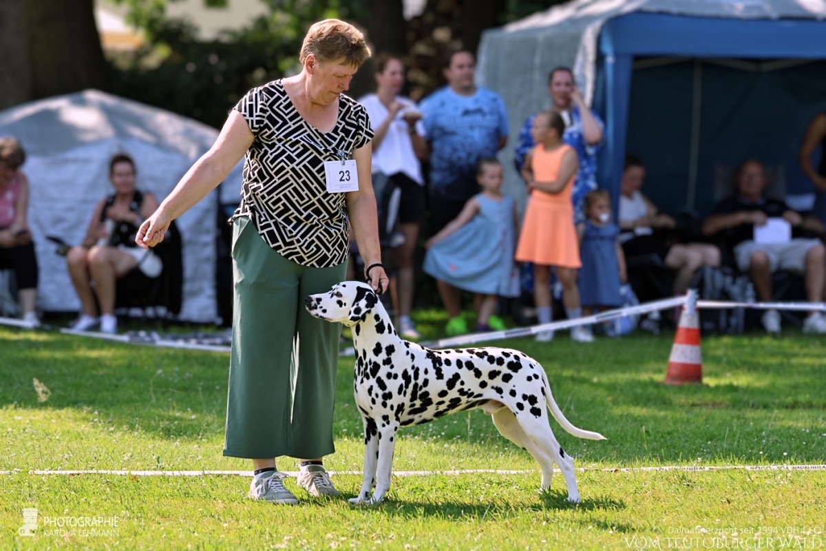 Champion Klasse Rüden (12 Meldungen) Ch Precious Picasso vom Teutoburger Wald V: WW ´20 Puntinato Ballante Tic Tac Terror M: Ch Flame of Fame vom Teutoburger Wald Doghandler: Heike Winter Vorzüglich Platz 4 Champion Klasse Rüden (12 Meldungen) Ch Precious Picasso vom Teutoburger Wald V: WW ´20 Puntinato Ballante Tic Tac Terror M: Ch Flame of Fame vom Teutoburger Wald Doghandler: Heike Winter Vorzüglich Platz 4