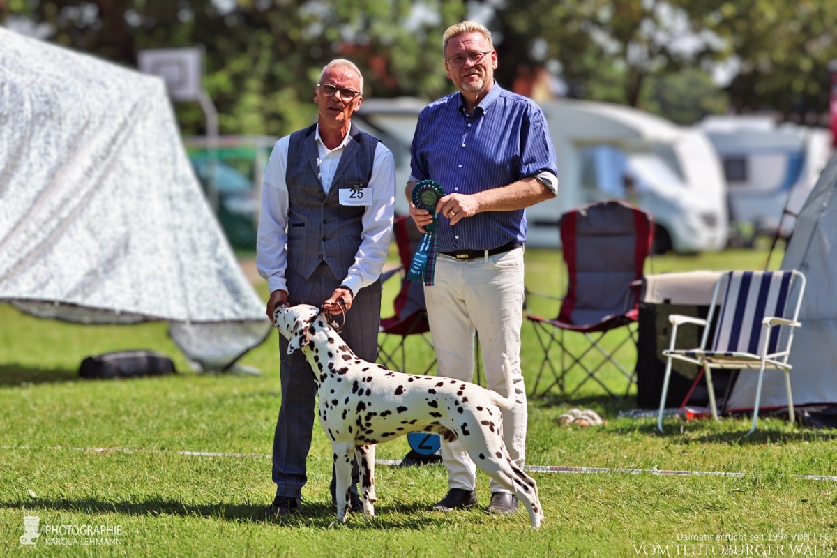 Champion Klasse Rüden (12 Meldungen) Ch Quartz Quality vom Teutoburger Wald V: Ch Spotdog’s Jumping Jack M: Ch Droplet Design vom Teutoburger Wald Doghandler: Michael Lehmann Vorzüglich Platz 2 Champion Klasse Rüden (12 Meldungen) Ch Quartz Quality vom Teutoburger Wald V: Ch Spotdog’s Jumping Jack M: Ch Droplet Design vom Teutoburger Wald Doghandler: Michael Lehmann Vorzüglich Platz 2