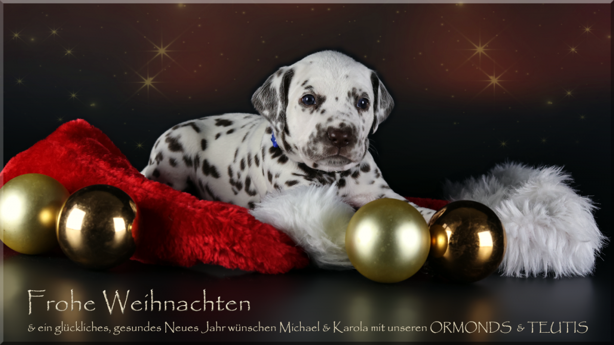 Frohe Weihnachten und ein glückliches, gesundes Neues Jahr 2025