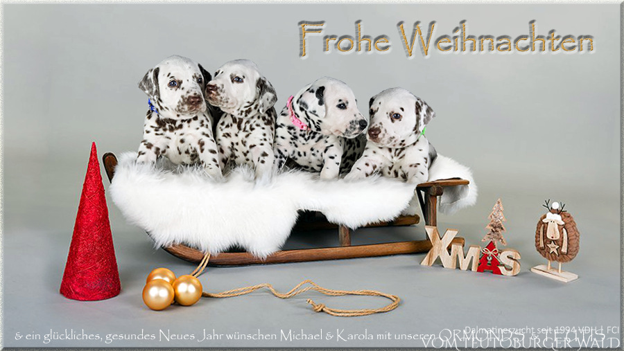 Frohe Weihnachten und ein glückliches, gesundes Neues Jahr 2026