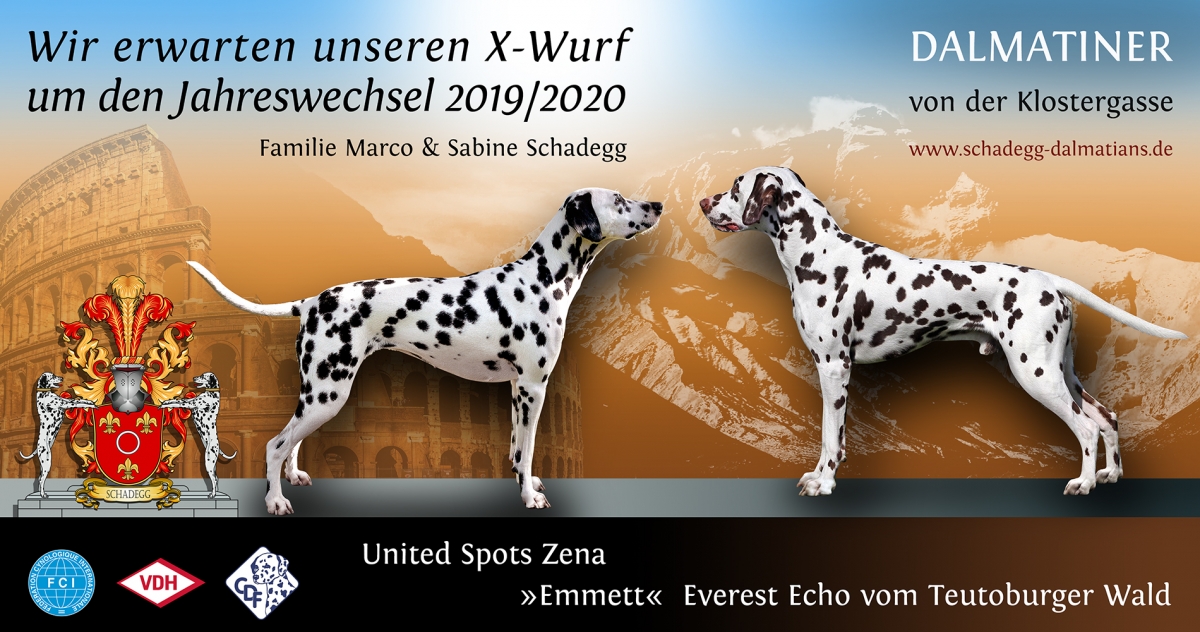 Infos zum X-Wurf von der Klostergasse