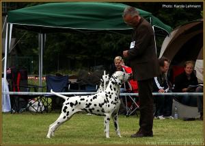 ... Doghandler Michael Lehmann präsentiert Spotnik´s First Farao For Ormond