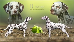 JJ-Wurf vom Teutoburger Wald - Crispy 'n' Crunchy vom Teutoburger Wald und D-Day vom Teutoburger Wald
