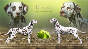 JJ-Wurf vom Teutoburger Wald - Crispy 'n' Crunchy vom Teutoburger Wald und D-Day vom Teutoburger Wald