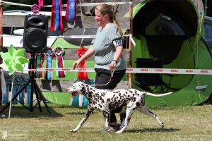 Flame of Fame vom Teutoburger Wald mit ihrer Besitzerin Ann-Christin Leitow