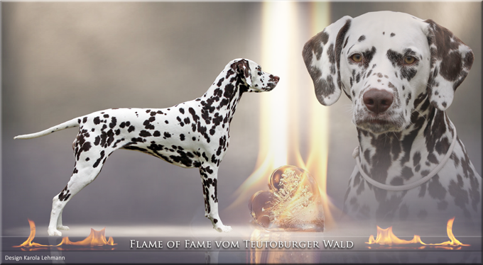 Flame of Fame vom Teutoburger Wald