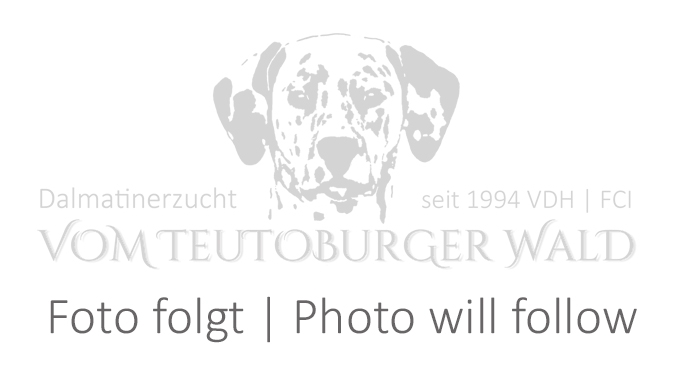 Foto folgt - Photo will follow