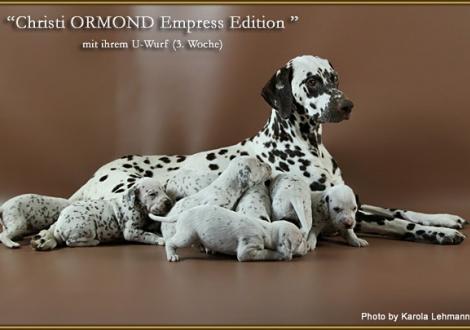 Christi ORMOND Empress Edition mit ihrem U - Wurf
