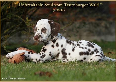 Unbreakable Soul vom Teutoburger Wald