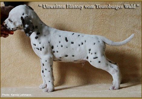 Unwritten History vom Teutoburger Wald, Rufname Otis
