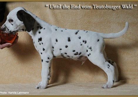 Until the End vom Teutoburger Wald, Rufname Casper