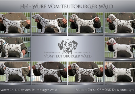 HH - Wurf vom Teutoburger Wald - Standfotos