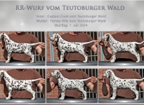 RR - Wurf vom Teutoburger Wald - Standfotos