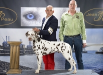 CACIB Internationale Ausstellung Goes (NL)