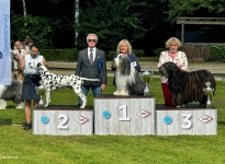  VDH German Winner Show (DE) BEST IN SHOW VETERAN 2. Platz | BEST OF BREED | VDH German Veteran Winner 2024 – Int & Multi Champion Canadian Club vom Teutoburger Wald