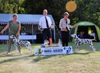 Doppel-CAC Birnbaumteich-Harzgerode 2024 - BESTER RÜDE (BOS) – Deutscher Jugend Champion Precious Picasso vom Teutoburger Wald