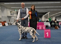 VDH Bundessiegerschau Dortmund (DE) VDH Bundes-Veteranensieger 2024 – Int & Multi Champion Canadian Club vom Teutoburger Wald