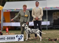 Ausstellungswochenende in Birnbaumteich-Harzgerode (DE) BEST OF BREED – Harz Sieger 2026 – Deutscher Champion Precious Picasso vom Teutoburger Wald Ausstellungswochenende in Birnbaumteich-Harzgerode (DE) BEST OF BREED – Harz Sieger 2026 – Deutscher Champion Precious Picasso vom Teutoburger Wald