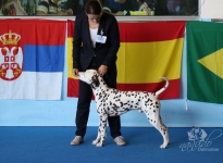 CACIB Internationale Ausstellung San Marino (SMR)