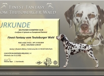 Bounty - Neuer Deutscher Champion - Finest Fantasy vom Teutoburger Wald
