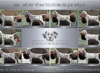 HH-Wurf vom Teutoburger Wald - Standfotos