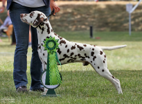 Deckung Everest Echo vom Teutoburger Wald