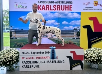 CACIB Internationale Ausstellung Karlsruhe (DE) BESTER JUGENDHUND – Deutscher Jugendchampion Occupied Oscar vom Teutoburger Wald