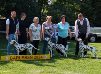 CAC Spezial-Rassehundeausstellung Barleben 1. Tag (DE) BESTER RÜDE (BOS) – Precious Picasso vom Teutoburger Wald –
