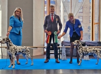 MyDog 1 - National Dog Show Göteborg (SE) BESTE HÜNDIN (BOS) – Quilty Quill vom Teutoburger Wald