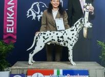 CACIB Martini Dogshow Groningen (NL)