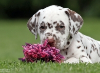 Kape Kanaveral vom Teutoburger Wald (5. Woche)