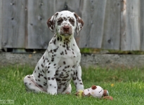 Kape Kanaveral vom Teutoburger Wald (8. Woche)