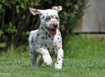 Kape Kanaveral vom Teutoburger Wald (6. Woche)