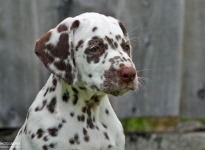 Kape Kanaveral vom Teutoburger Wald (8. Woche)