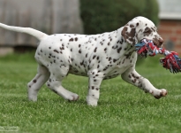 Kape Kanaveral vom Teutoburger Wald (6. Woche)