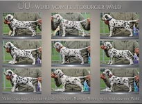 UU - Wurf vom Teutoburger Wald - Standfotos