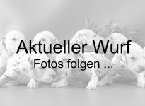 Fotos folgen ...