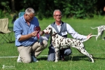 DZGD Felde Sieger Ausstellung Riede 2026 - BEST OF BREED JUNIOR - Deutscher Jugendchampion Timeless Twilight vom Teutoburger Wald DZGD Felde Sieger Ausstellung Riede 2026 - BEST OF BREED JUNIOR - Deutscher Jugendchampion Timeless Twilight vom Teutoburger Wald