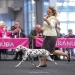 Timeless Twilight vom Teutoburger Wald (6 Monate alt) Puppy Champion of Poland in Poznan mit Agnes 